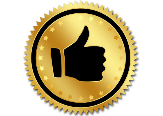 Thumbs Up seal icon image